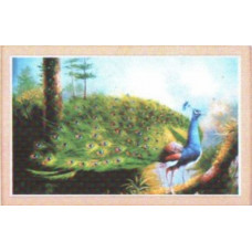 1027 Мозаика Cristal 'Гордый павлин', 65*43 см