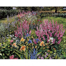 Канва для вышивания, 35*27 см (272)