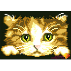 АЖ-319 Котенок