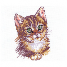 1-04 Котенок