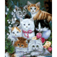 1104 Котята-1
