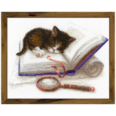 1725 Котёнок на книжке